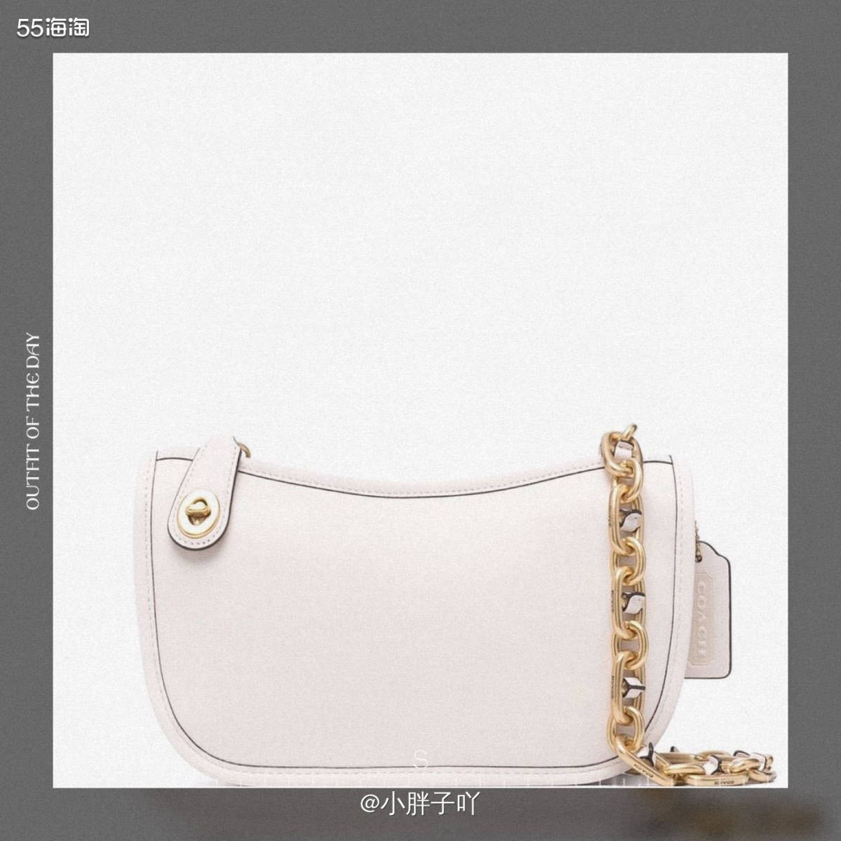 预购网站：Farfetch 发发奇  预购产品：Swinge