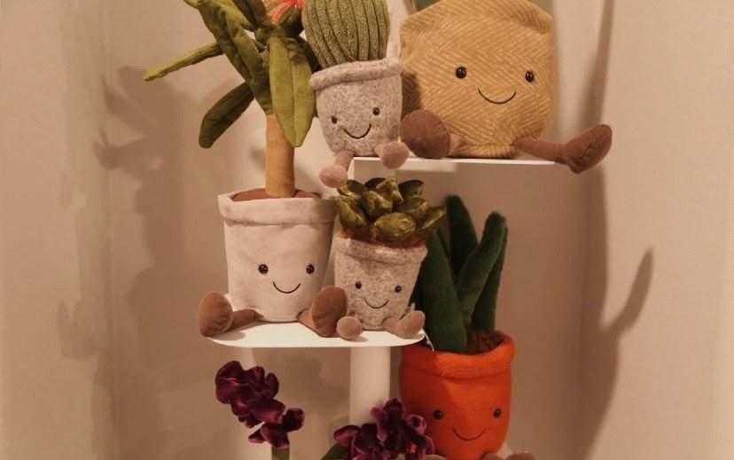 中环转运标准线！jellycat又添新成员🙆🏻‍♀️🙆