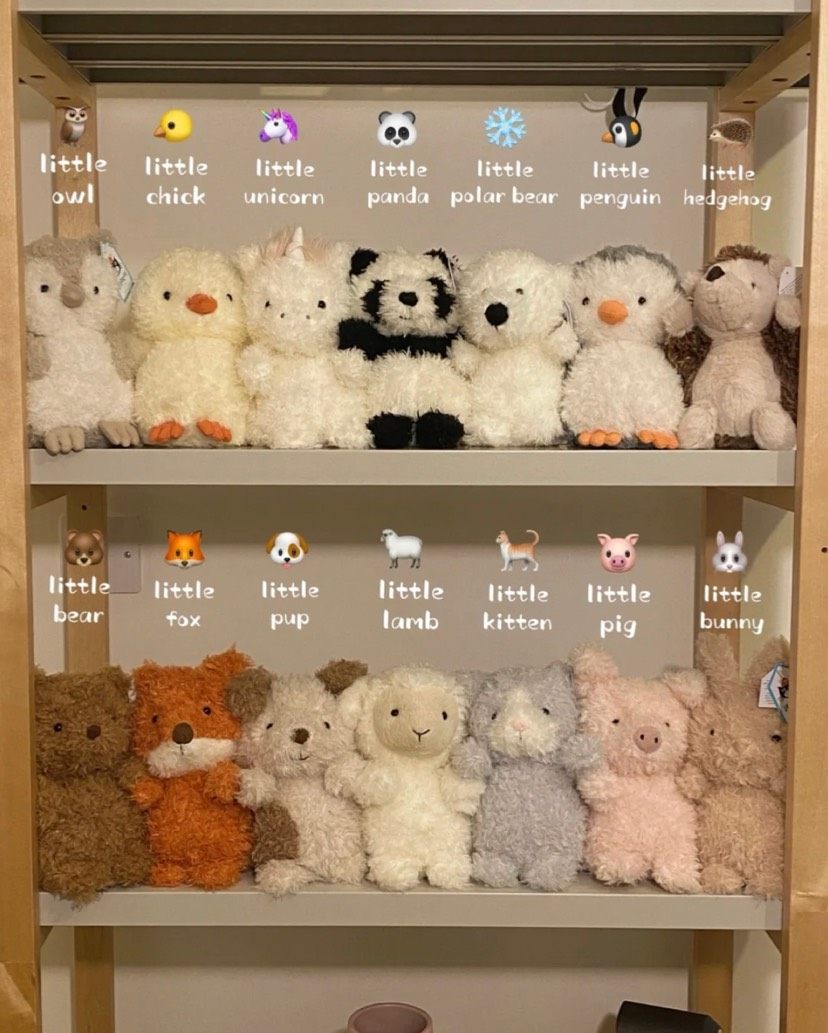 中环转运标准线！jellycat又添新成员🙆🏻‍♀️🙆