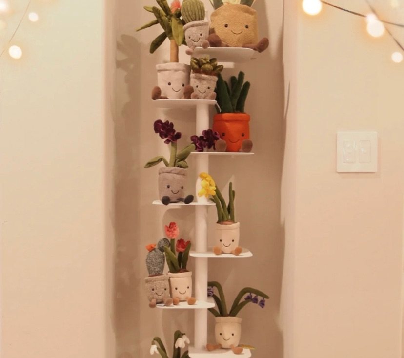 中环转运标准线！jellycat又添新成员🙆🏻‍♀️🙆