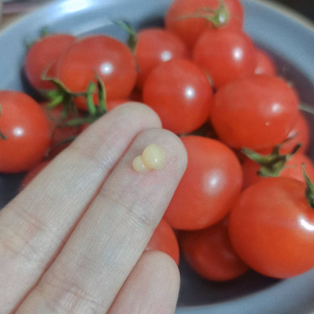 🌞最近又空了一瓶雅诗兰黛抗蓝光眼霜，新的眼霜还在清关中，便