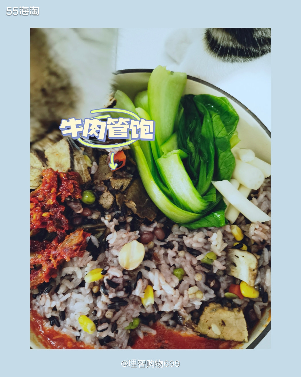 藏肉小天才之路016：今天我想吃牛肉！  🎡 上数据！ 身