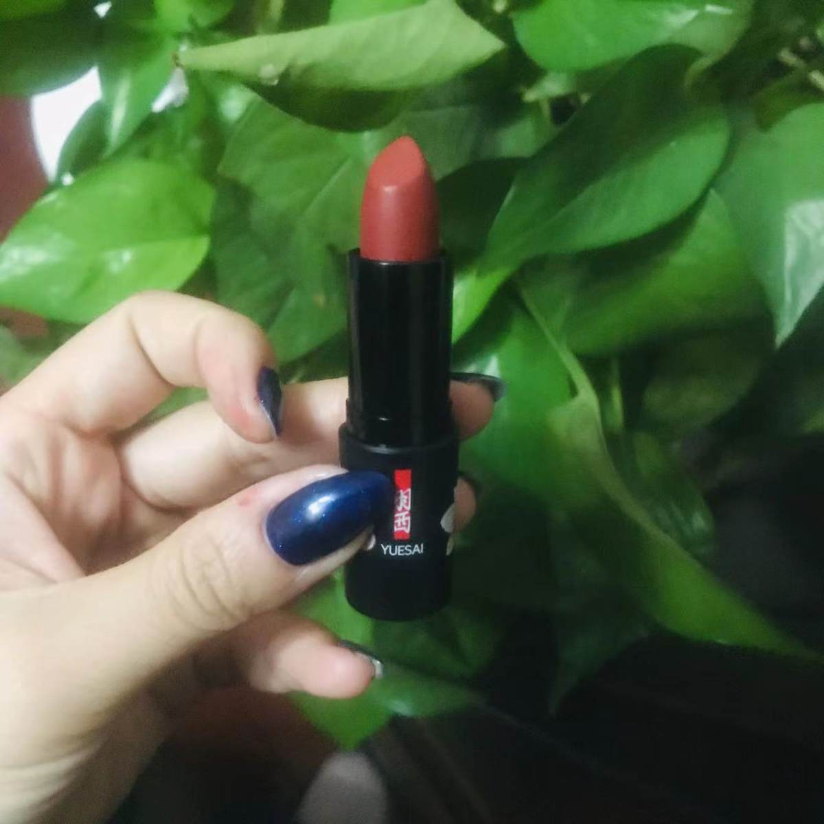 雅诗兰黛、mac、3CE等等的唇妆有太多人**啦，我来叨一叨