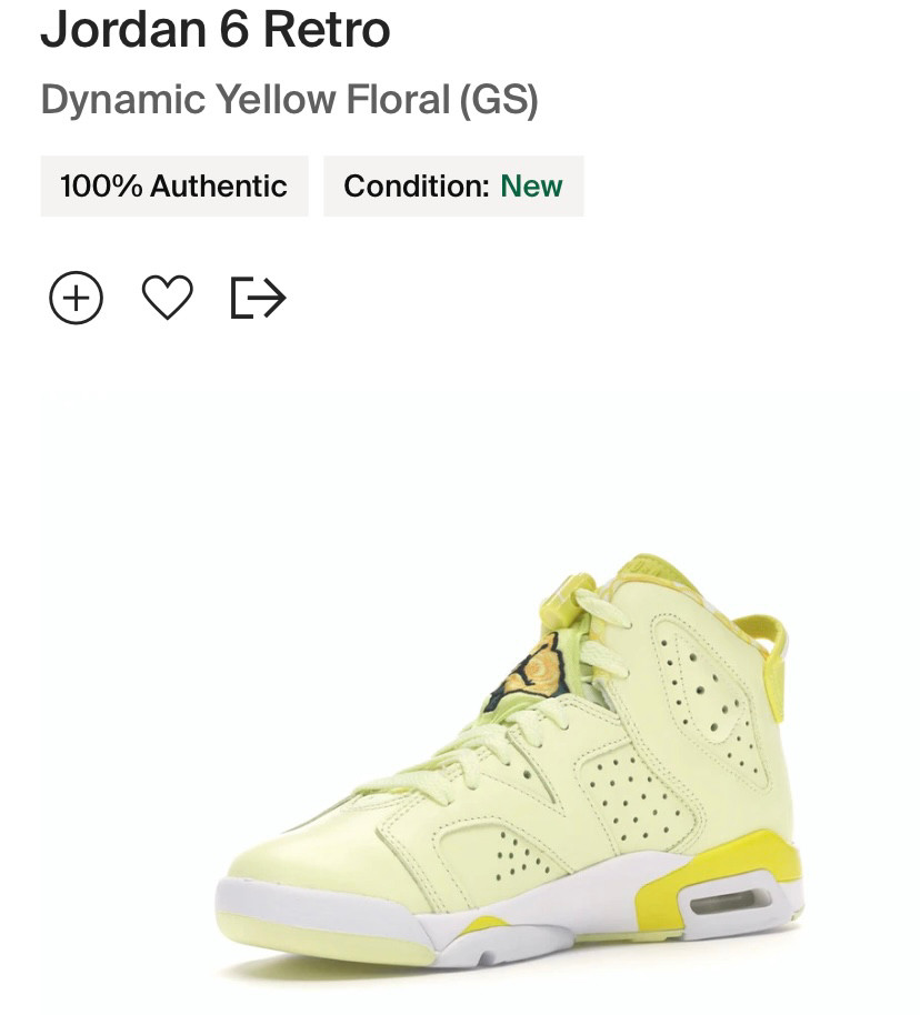 🌼产品名称：Jordan 6 Retro Dynamic 
