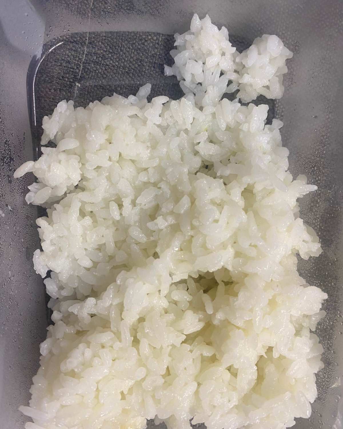 早餐🥣：黑咖啡 午餐🥣：红烧狮子头两个➕青菜🥬➕米饭�