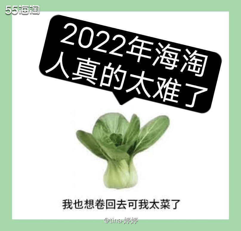 我觉得整个上半年对海淘人的挑战是很大的，也是非常困难的一个上