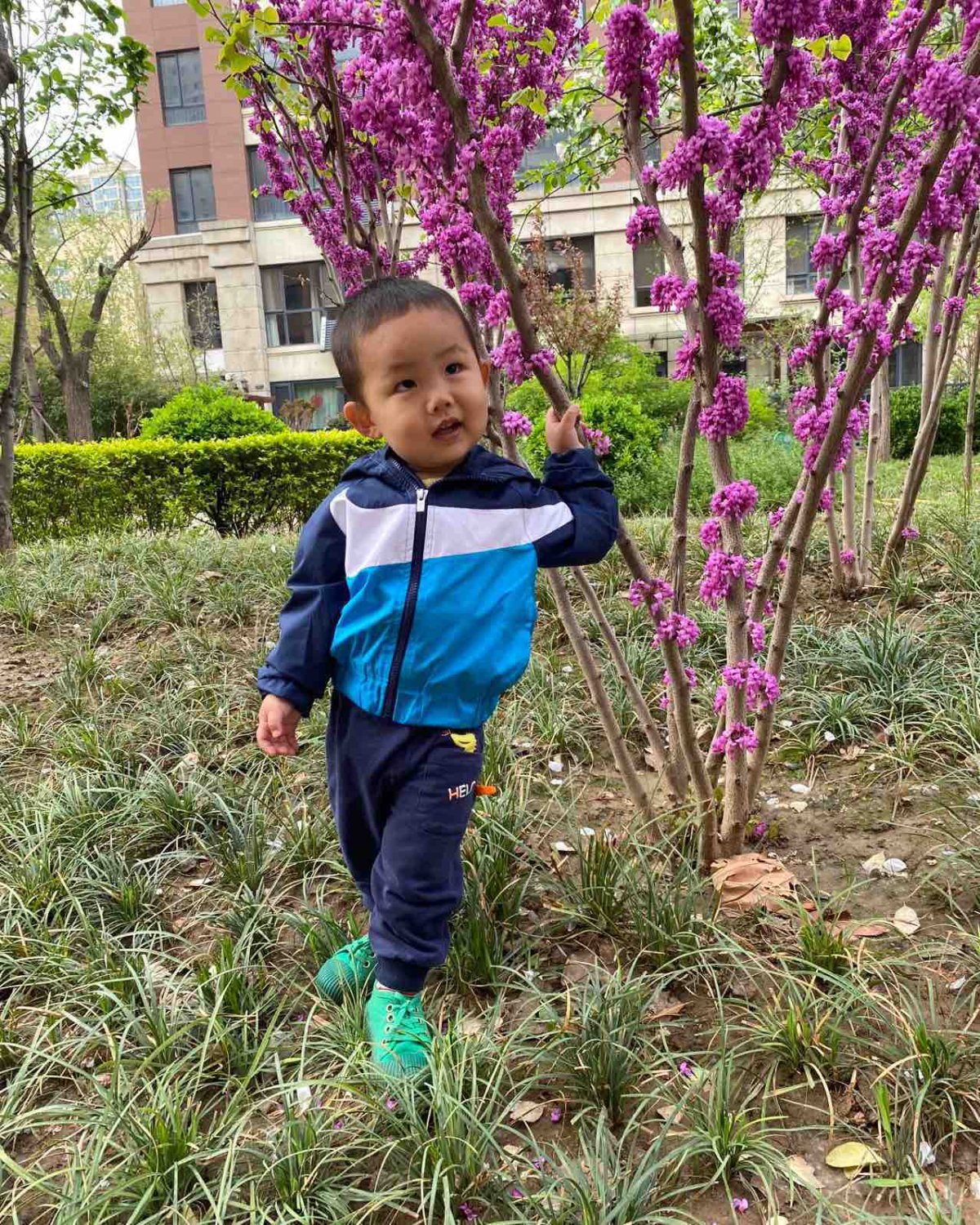 这个网站很容易占到便宜，但是每次都会剁手剁很多，为什么呢，因