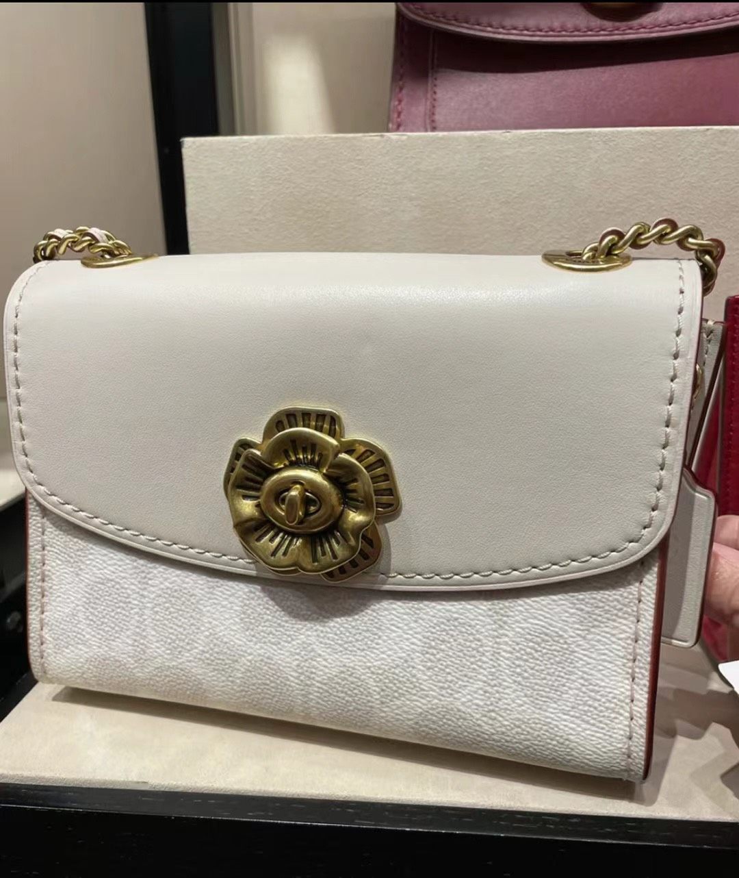 520礼物🎁 蔻驰经典山茶花婚纱白 国现好价｜💰2299