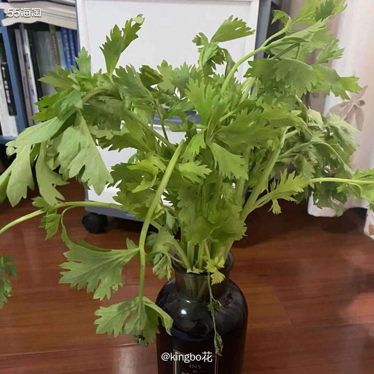 🔴居家生活小技巧，疫情下的自力更生，旧物利用开始爱马仕葱的