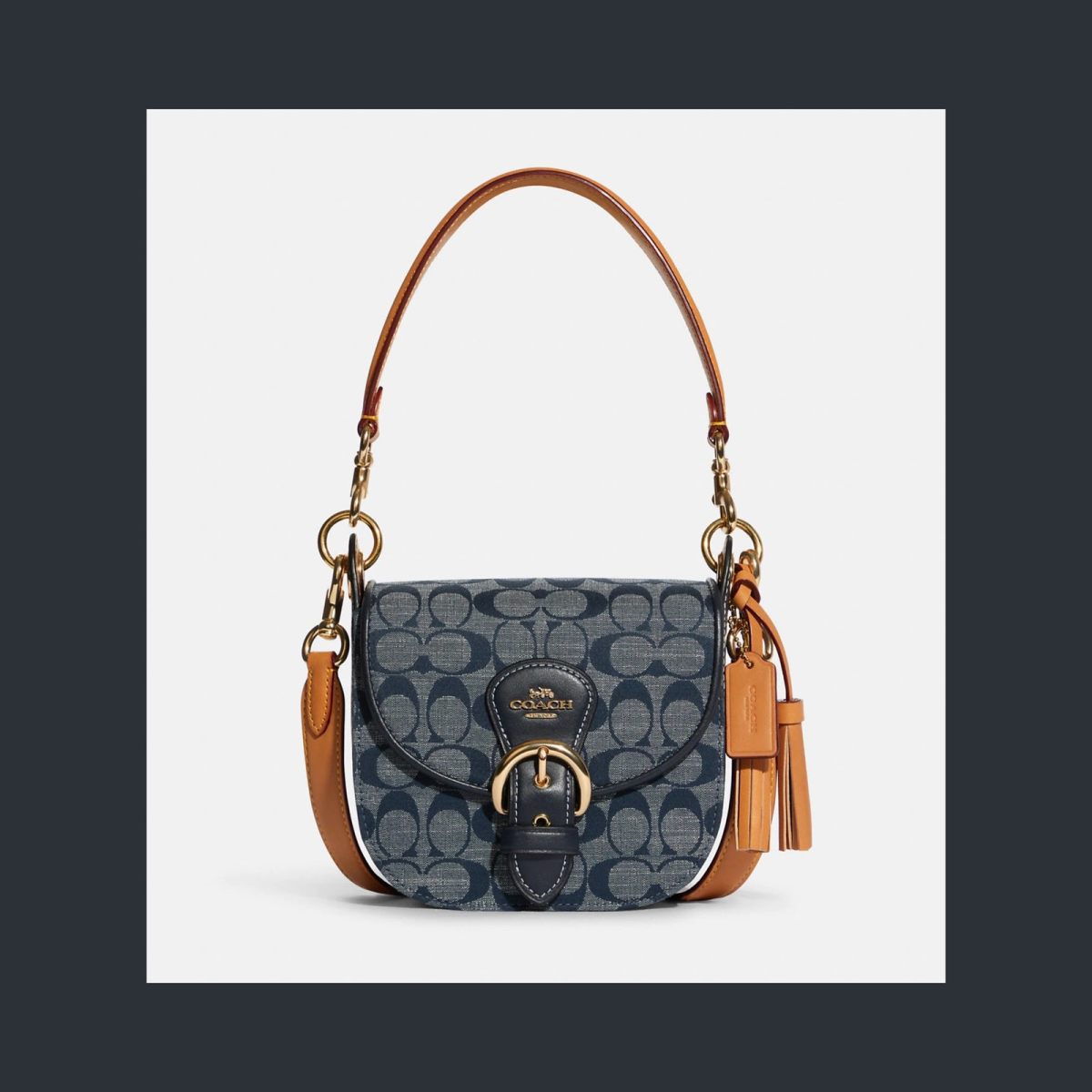 🌟剁手网站：美国coach奥莱官网 🌟剁手产品：香布雷马