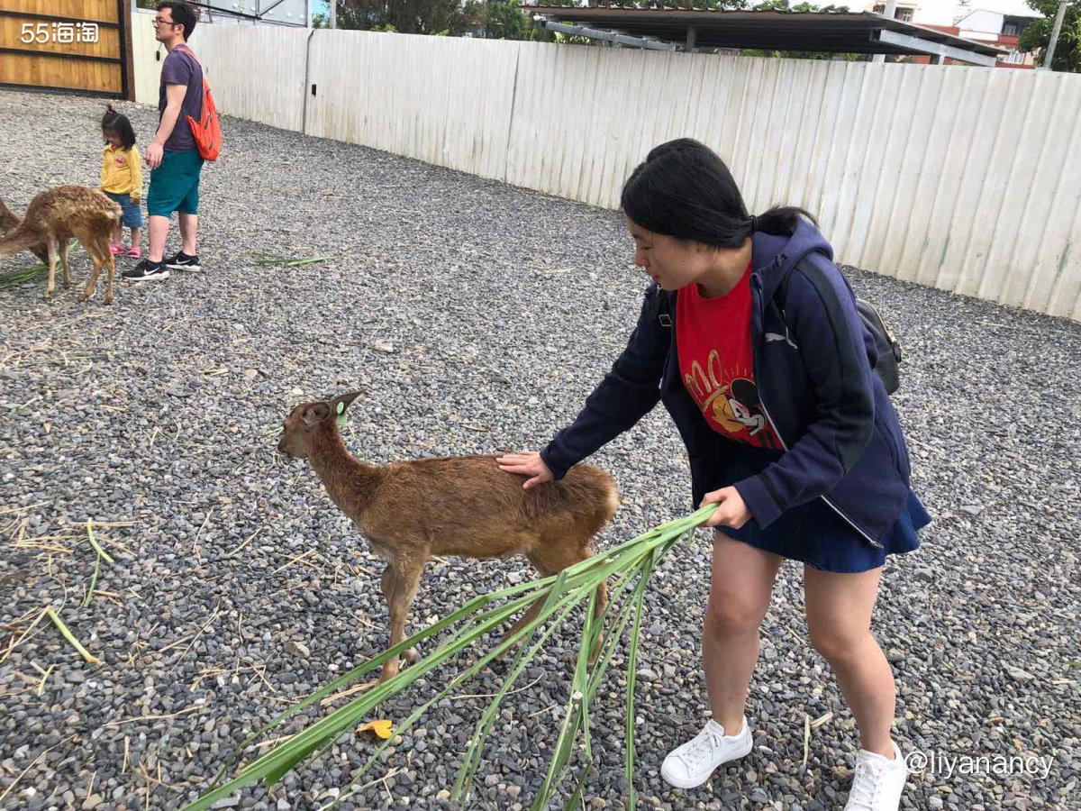 ✨斯凯奇的鞋子在年轻人中间夜很有名气的，他家最火的鞋子应该就