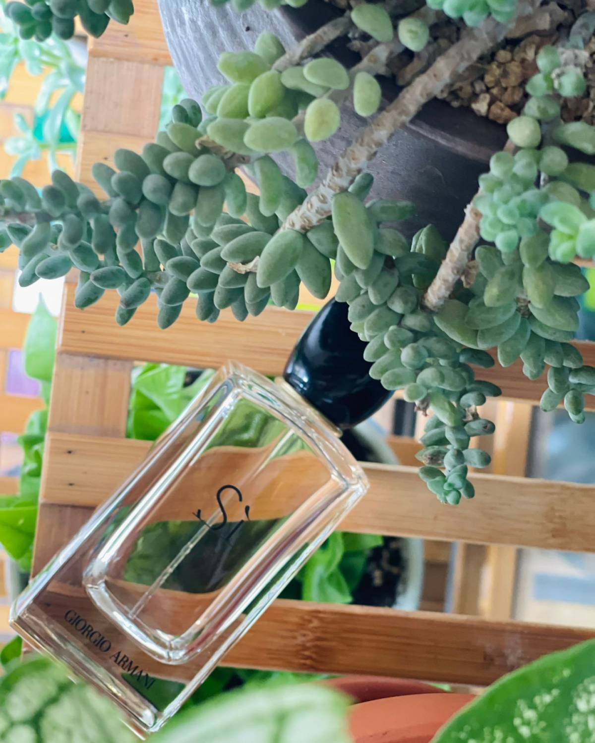 这款国内专柜买不到了，好像停产了，店和海淘还可以买到。 	 