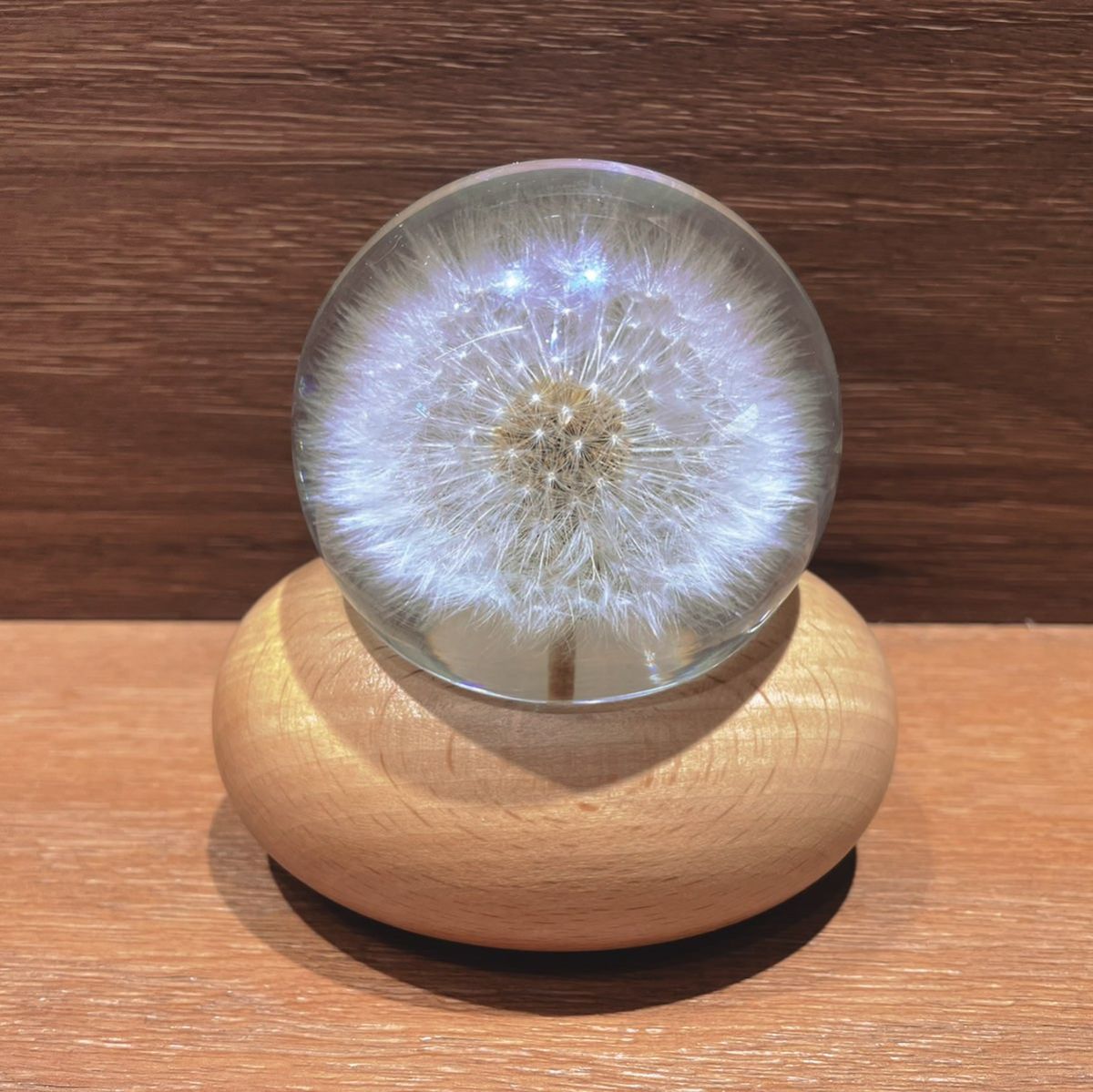 🌈这个八音盒也是在杂货铺的时候一看看中，马上就掏钱入了。这