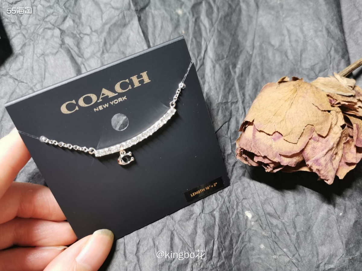 🔴蔻驰coach 微笑项链，Tiffany微笑项链平替，实