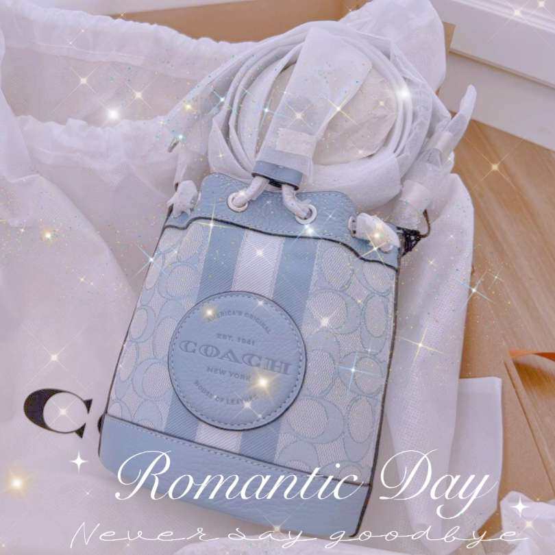 漂洋过海2个多月的包包终于到了  网站：coach官网 下单