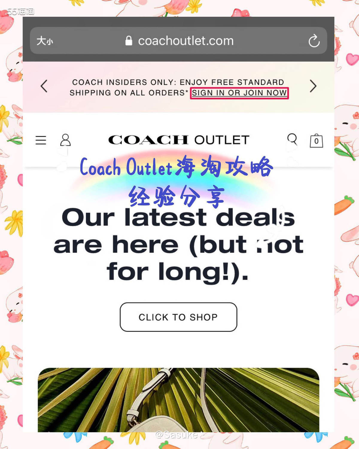 🌼 Coach Outlet海淘攻略：  1⃣️Coach