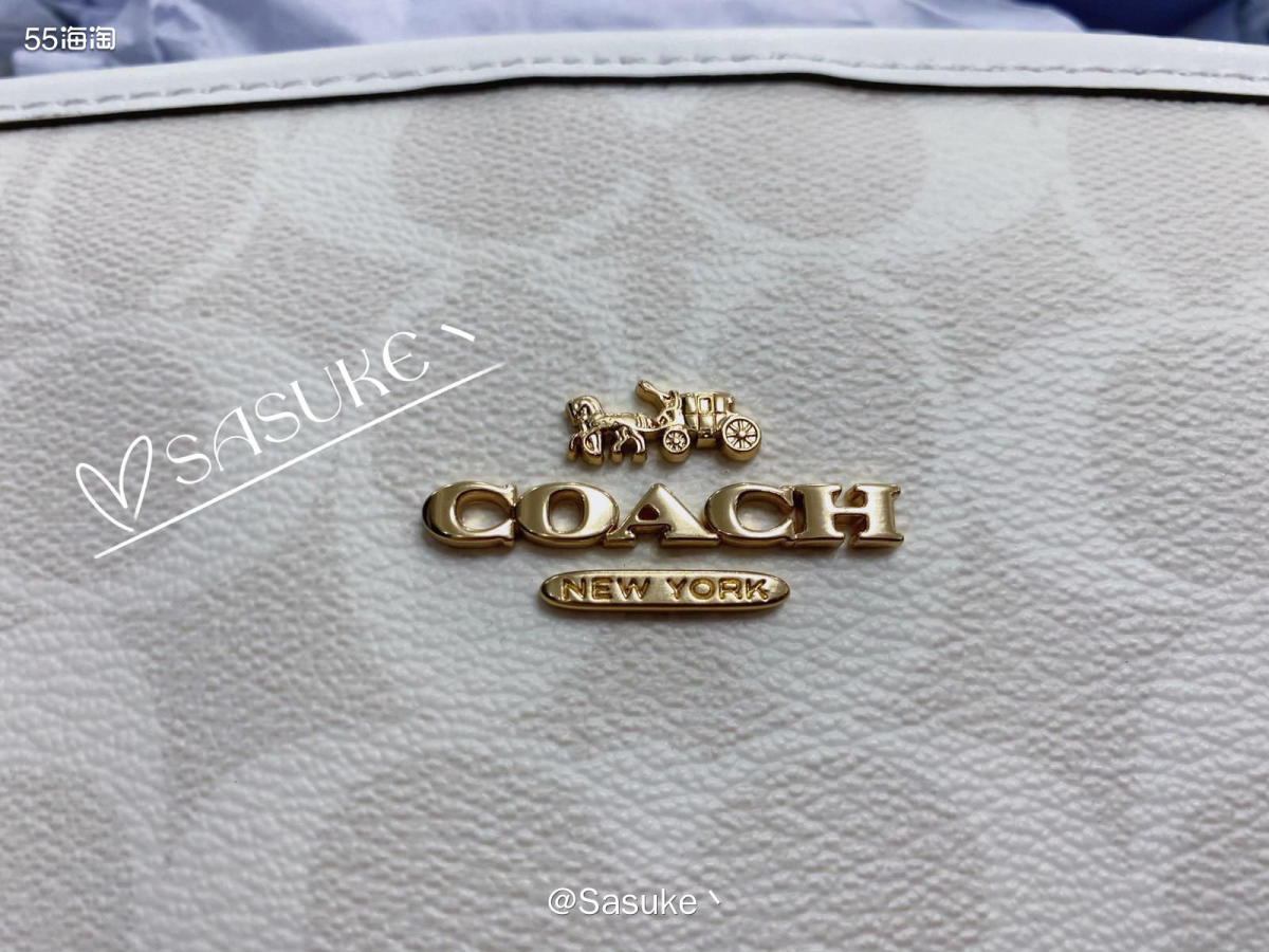 🌈Coach Outlet美国官网下了两单City33冰川