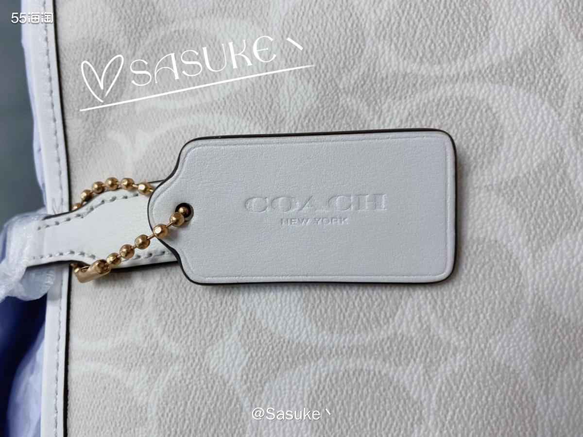 🌈Coach Outlet美国官网下了两单City33冰川