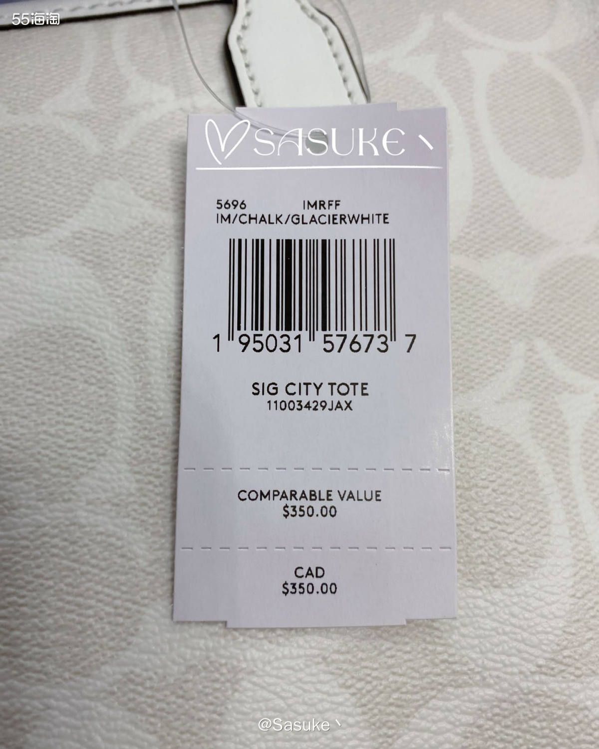 🌈Coach Outlet美国官网下了两单City33冰川