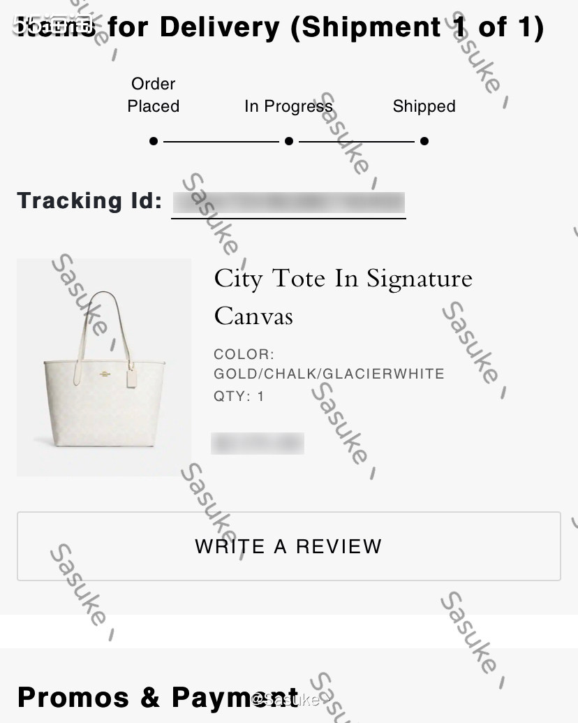 🌈Coach Outlet美国官网下了两单City33冰川