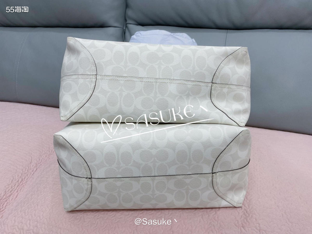 🌈Coach Outlet美国官网下了两单City33冰川