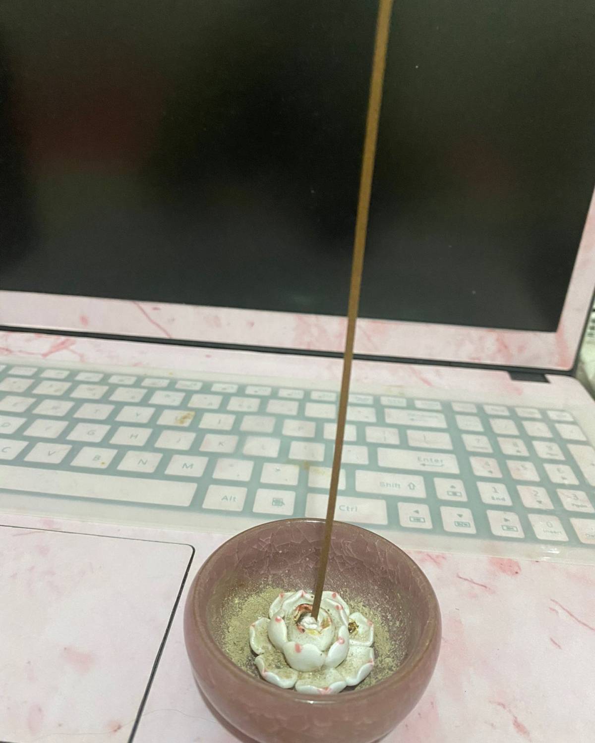 外出用驱蚊液，在家用驱蚊液、艾草香与蚊帐同时用！！！  我属