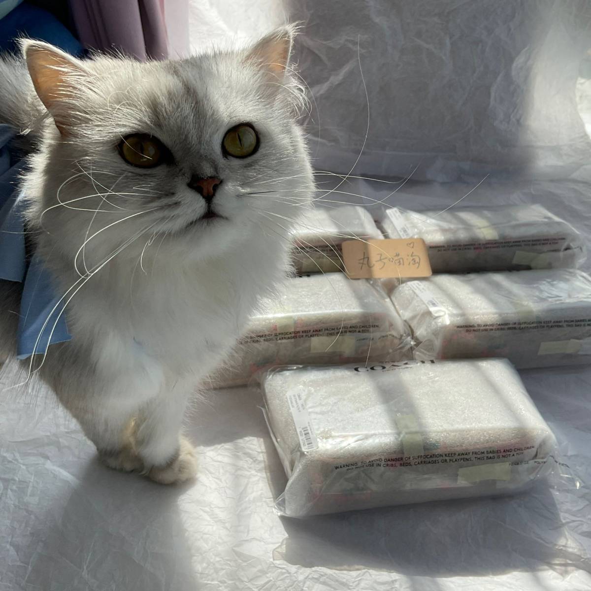 这一单开箱的是coach的草莓麻将包nolita19这一款。