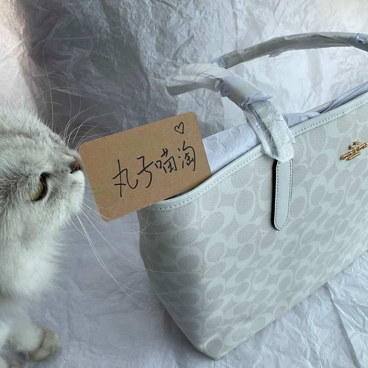 这一单是买的coach冰川白托特包。 蔻驰托特包还是比较实用