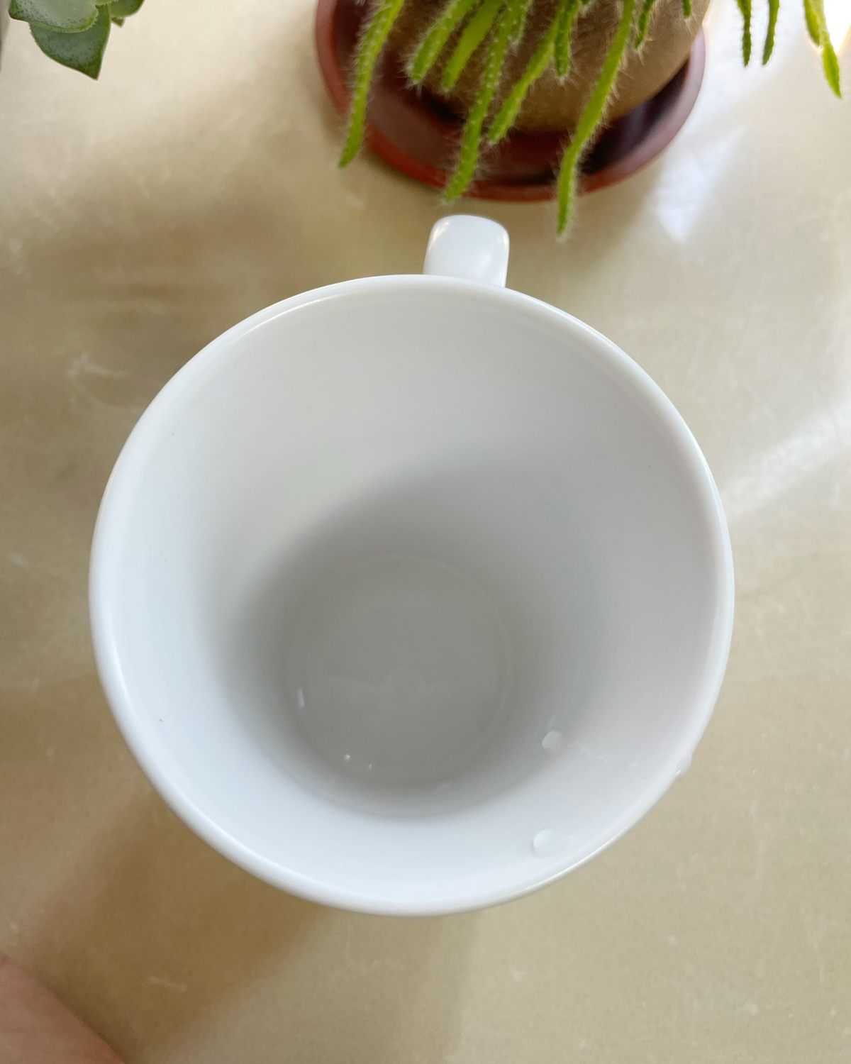 🔅入手途径：星爸爸实体店 🔅入手价格：100多元，买来十