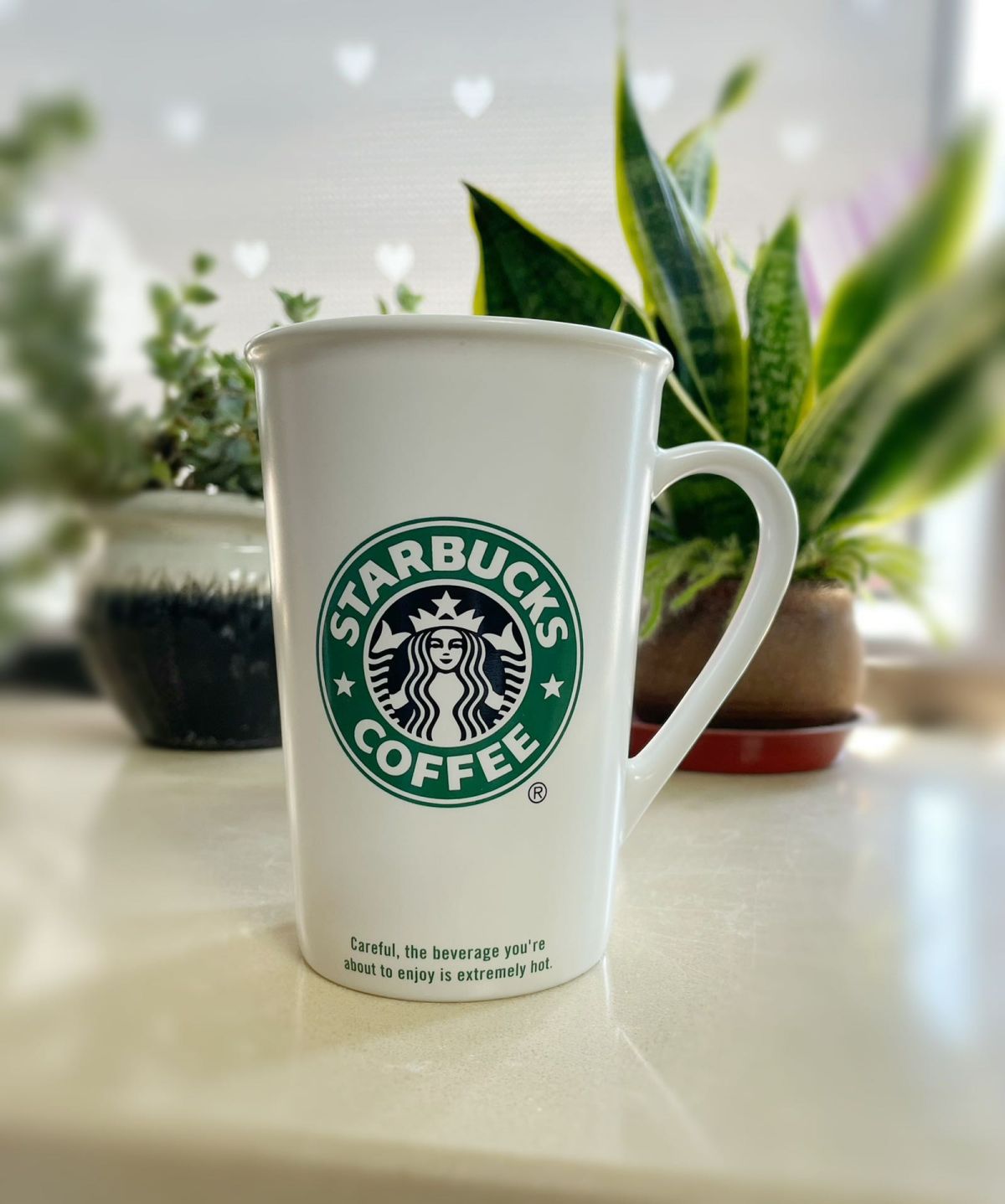 🔅入手途径：星爸爸实体店 🔅入手价格：100多元，买来十