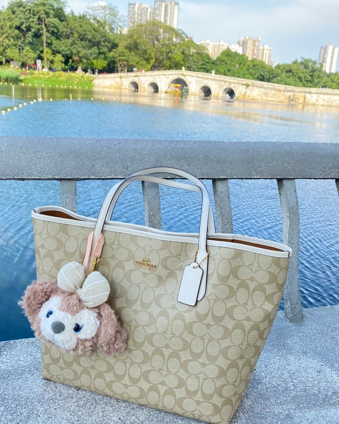 🌻剁手商品:Coach city 33托特包 🌻付款金额
