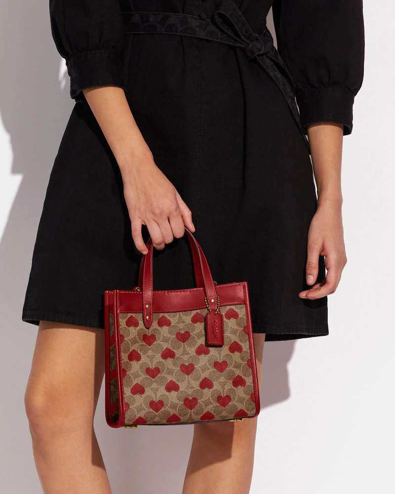 🌻剁手商品:Coach field 22爱心托特包➕tra
