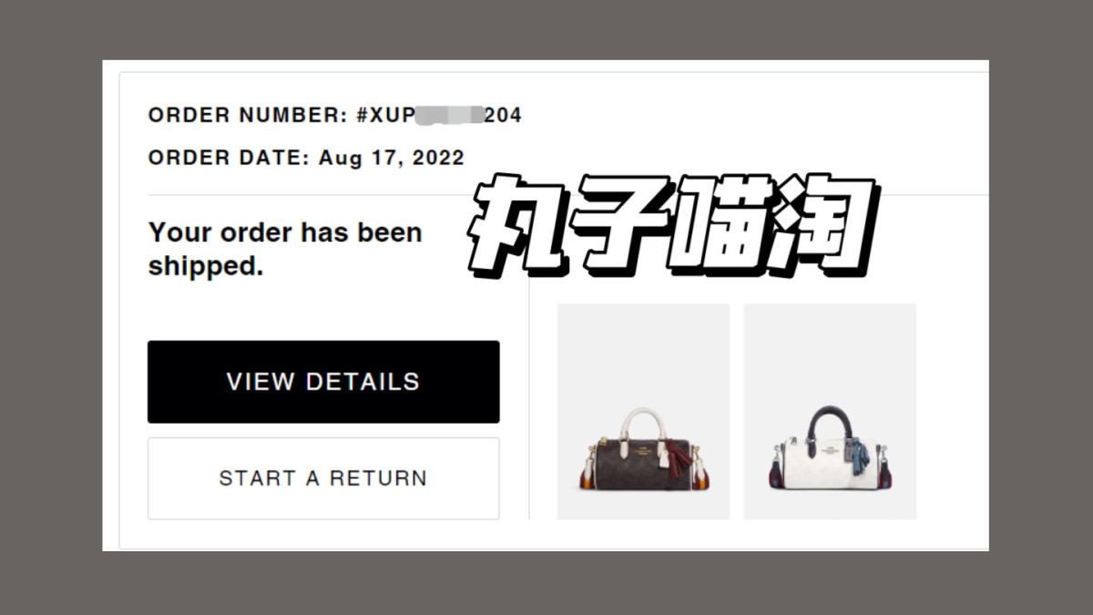 🌟下单网站：美国coach奥莱官网  🌟下单产品：棕色笔