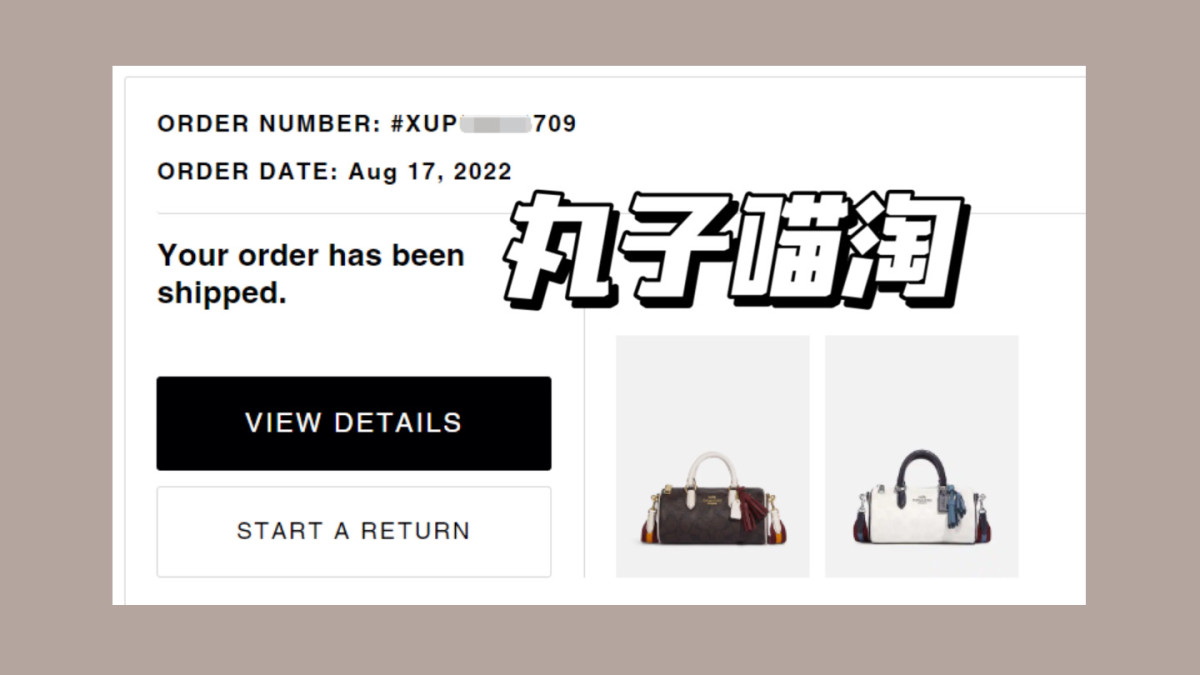 懒癌者来晒单了，前几天Coach奥莱上新了学风系列的包袋，就