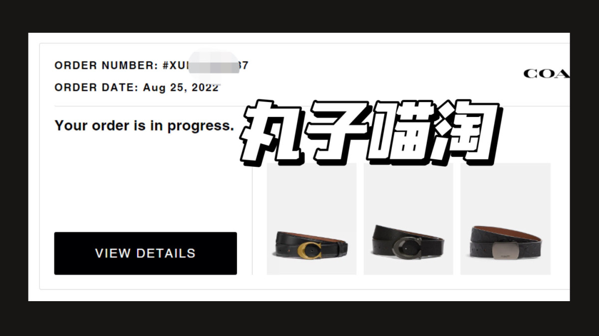 这一单是剁手了奥莱的几根皮带， 前两天八折活动，我还去精挑细