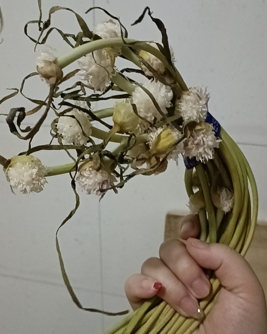 咱就说，头一次见蒜苔开花