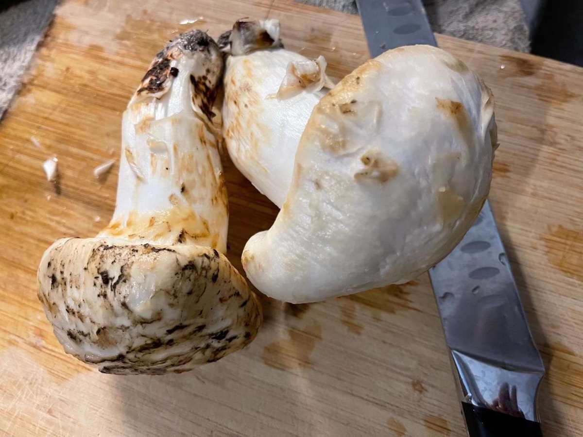 🍄松茸又叫松蕈、松菇，属口蘑科食用真菌，具有蛋白质、脂肪、
