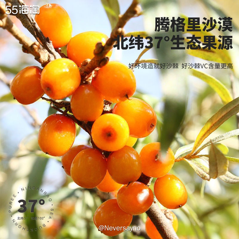 🧡剁手沙棘原浆果汁，富含vc功效很多哦  ▪️之前经常去西