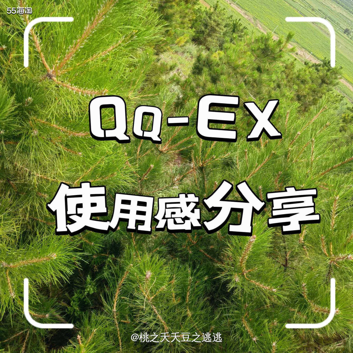 💛之前买参加雅顿的活动，买的东西选择了qqex转运公司，这