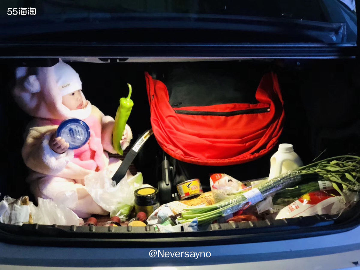 ⭕️ mountain buggy nano 婴儿轻便推车，