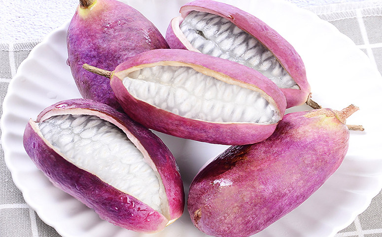 八月瓜有中属性，种子可榨油食用。果实除鲜食外还可酿酒、制作果