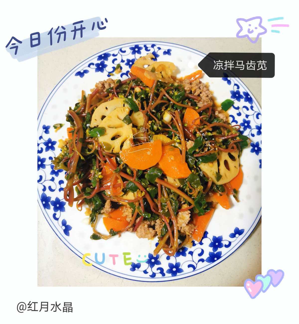 💁💁今天下午去菜地里摘菜，发现几块地都长满了马齿苋（如最