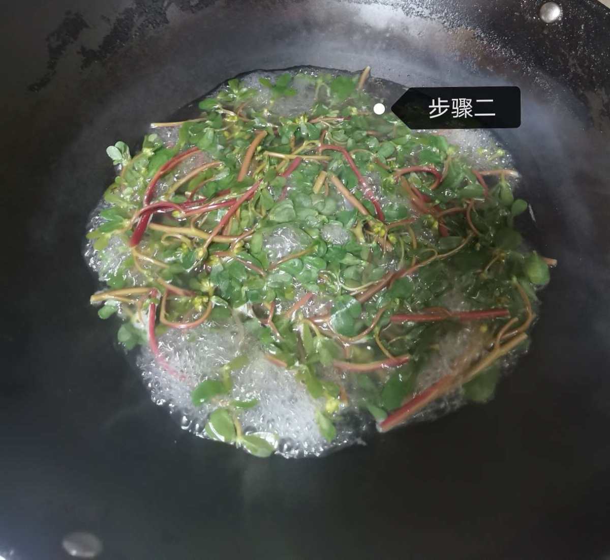 💁💁今天下午去菜地里摘菜，发现几块地都长满了马齿苋（如最