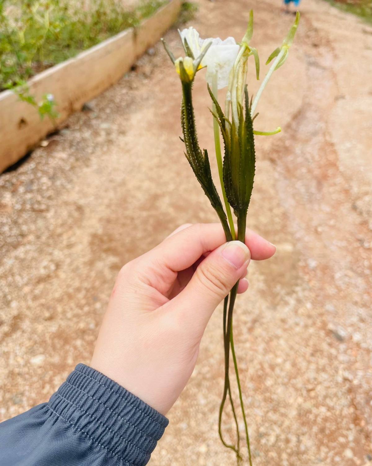 8号来云南旅游，玩到30号再离开云南，吃了些好吃的现在分享一