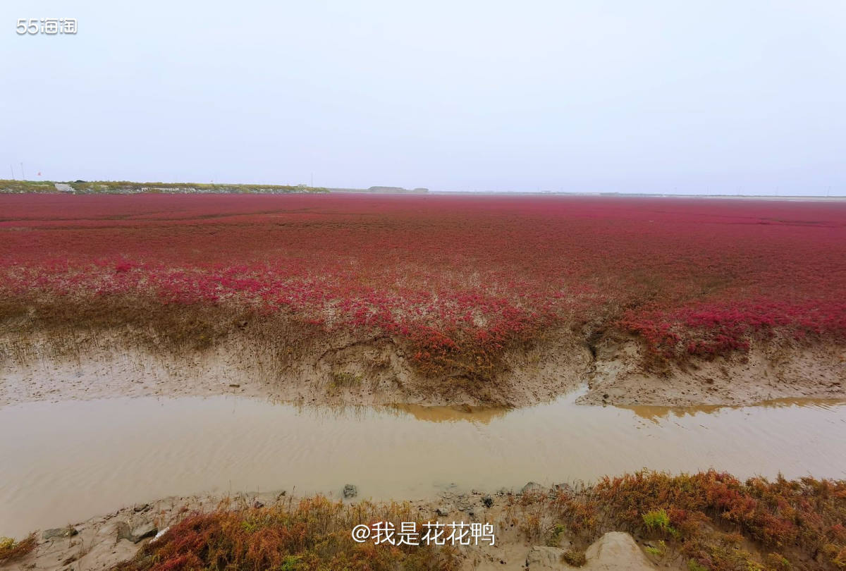 🌟十一假期又是哪也没去上啊，只能选择回老家了，然后一直听说