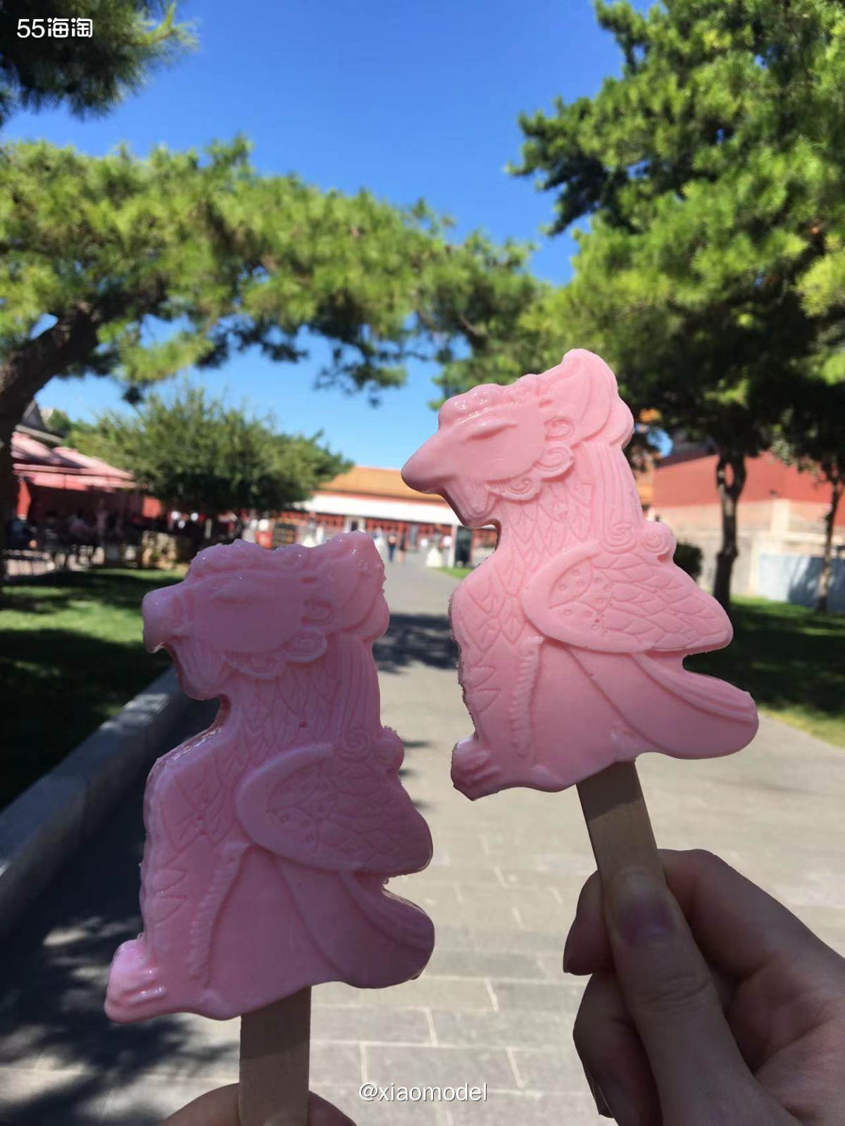 🌸故宫也是北京必去的打卡景点之一啦！多年前我来过1次，这次