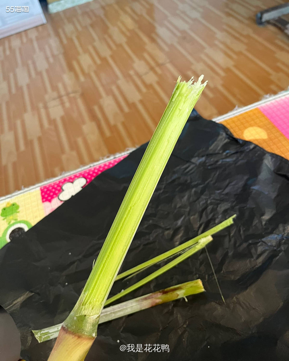 🌟难得假期跑了出来，带着知知回了姥姥家，孩子真的对农村特别