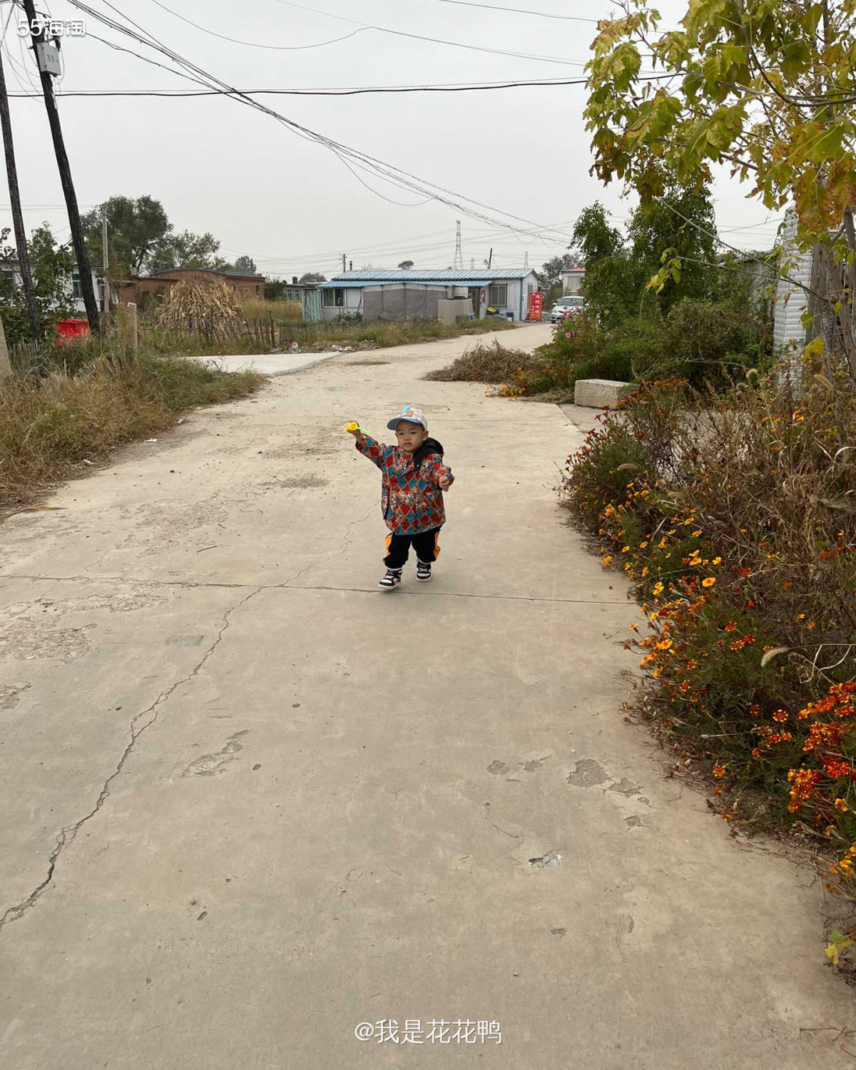 🌟难得假期跑了出来，带着知知回了姥姥家，孩子真的对农村特别