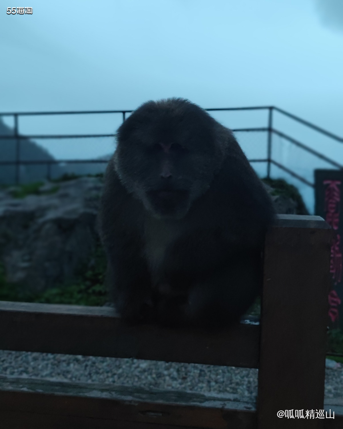 🔶前面讲了国庆和老公一起去峨眉山爬山。了解峨眉山的人都知道