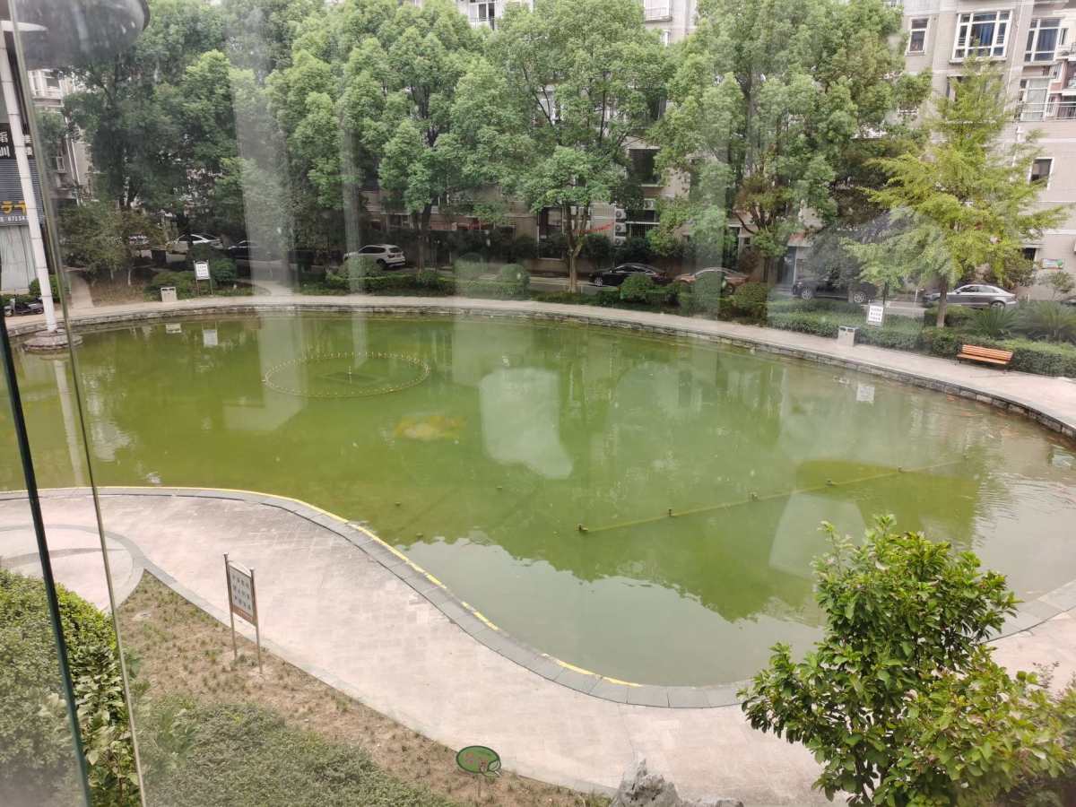 ✅这个十一只能宅家里，所以也只能是自娱自乐模式，怎么开心怎么